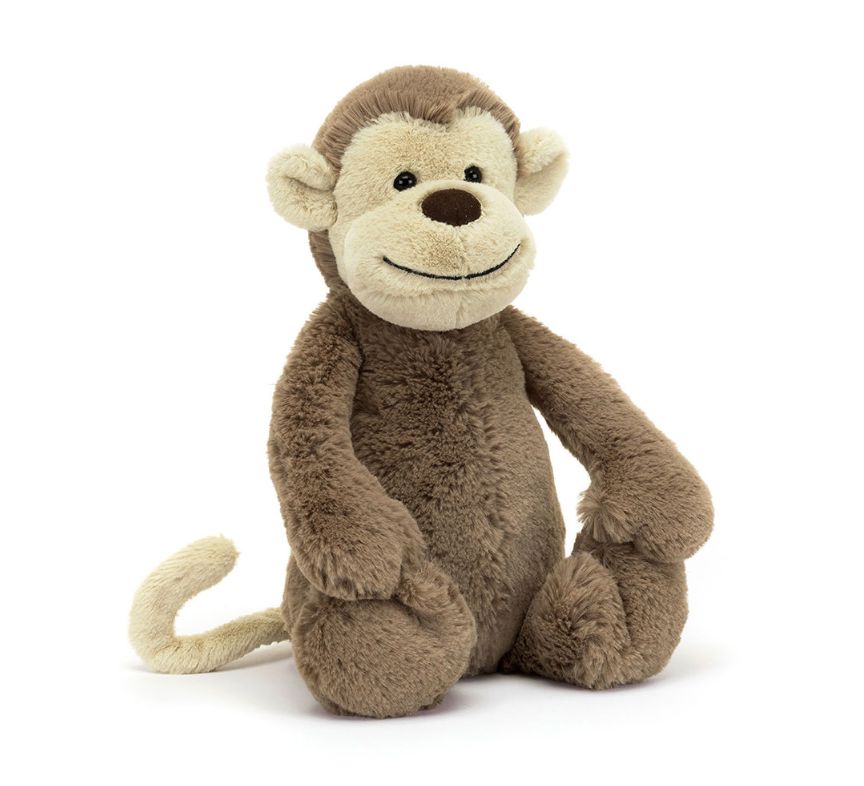 Bashful Monkey – The Horseshoe Crab