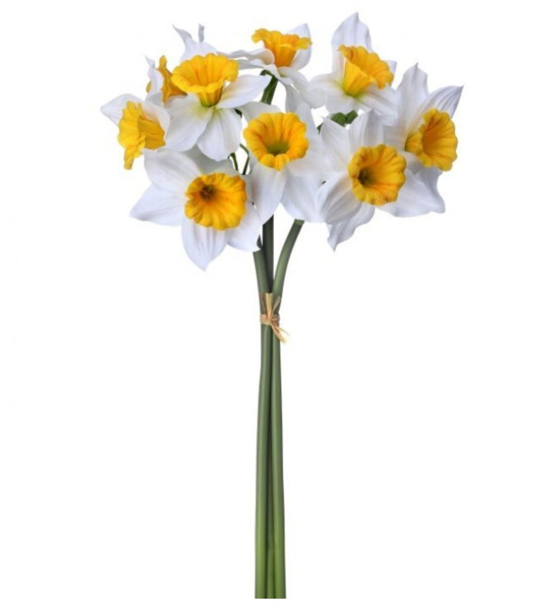 15" Field Daffodil Bundle - White and Yellow Faux Florals Regency International 