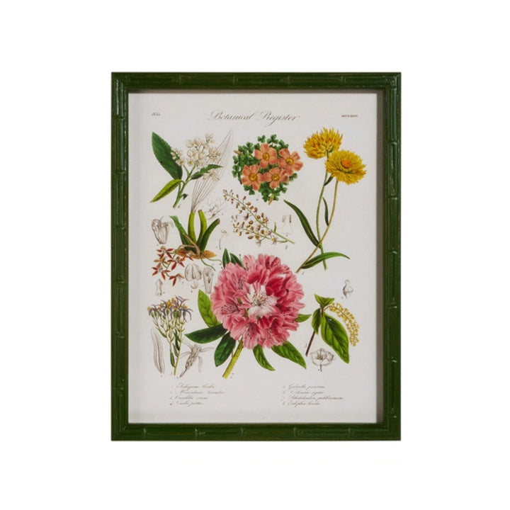 16" Floral Framed Wall Art Artwork RAZ 1 