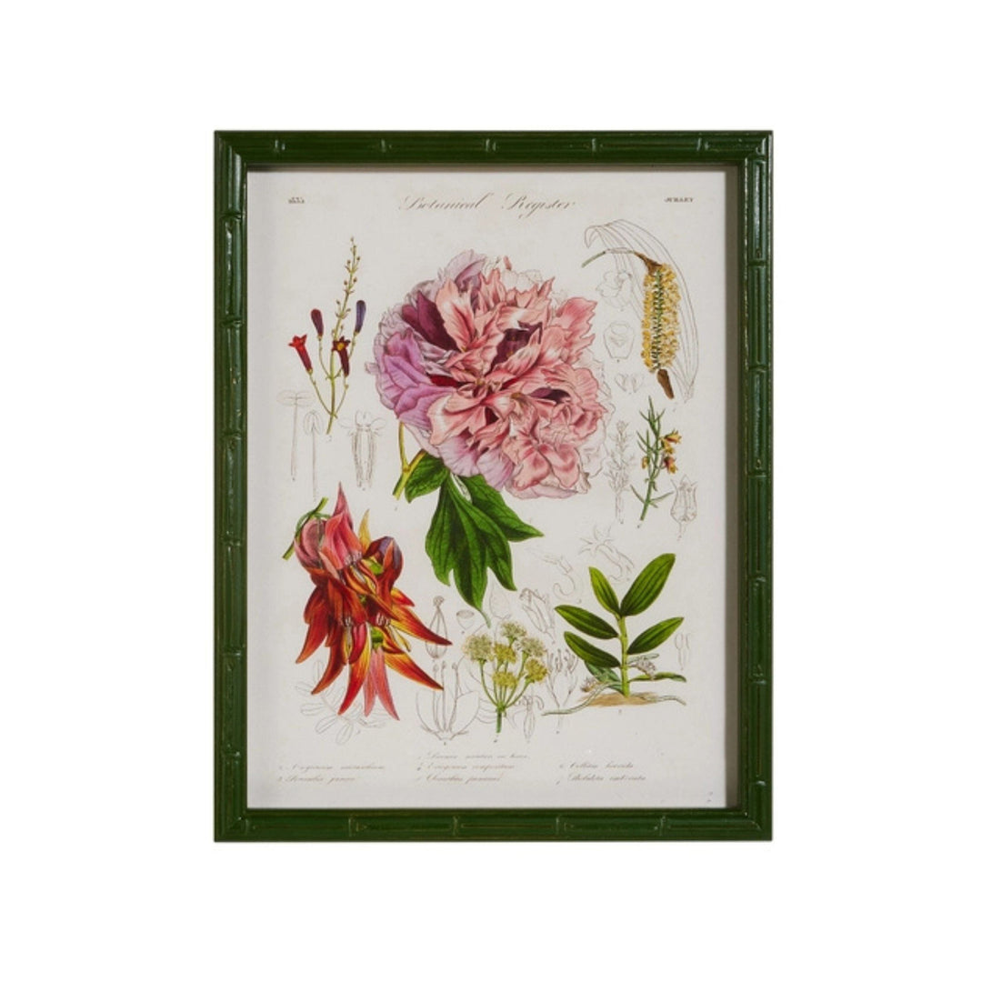 16" Floral Framed Wall Art Artwork RAZ 4 