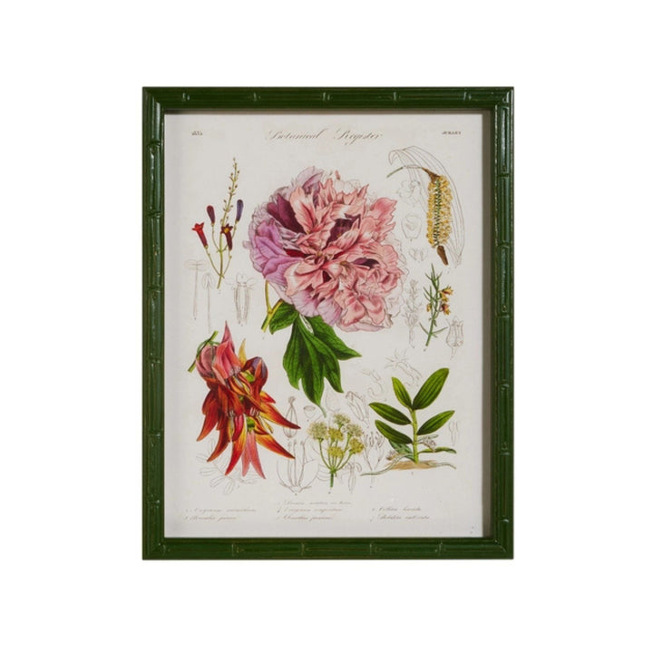 16" Floral Framed Wall Art Artwork RAZ 4 