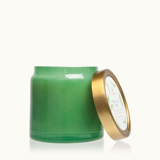 16oz Candle Candle Thymes 