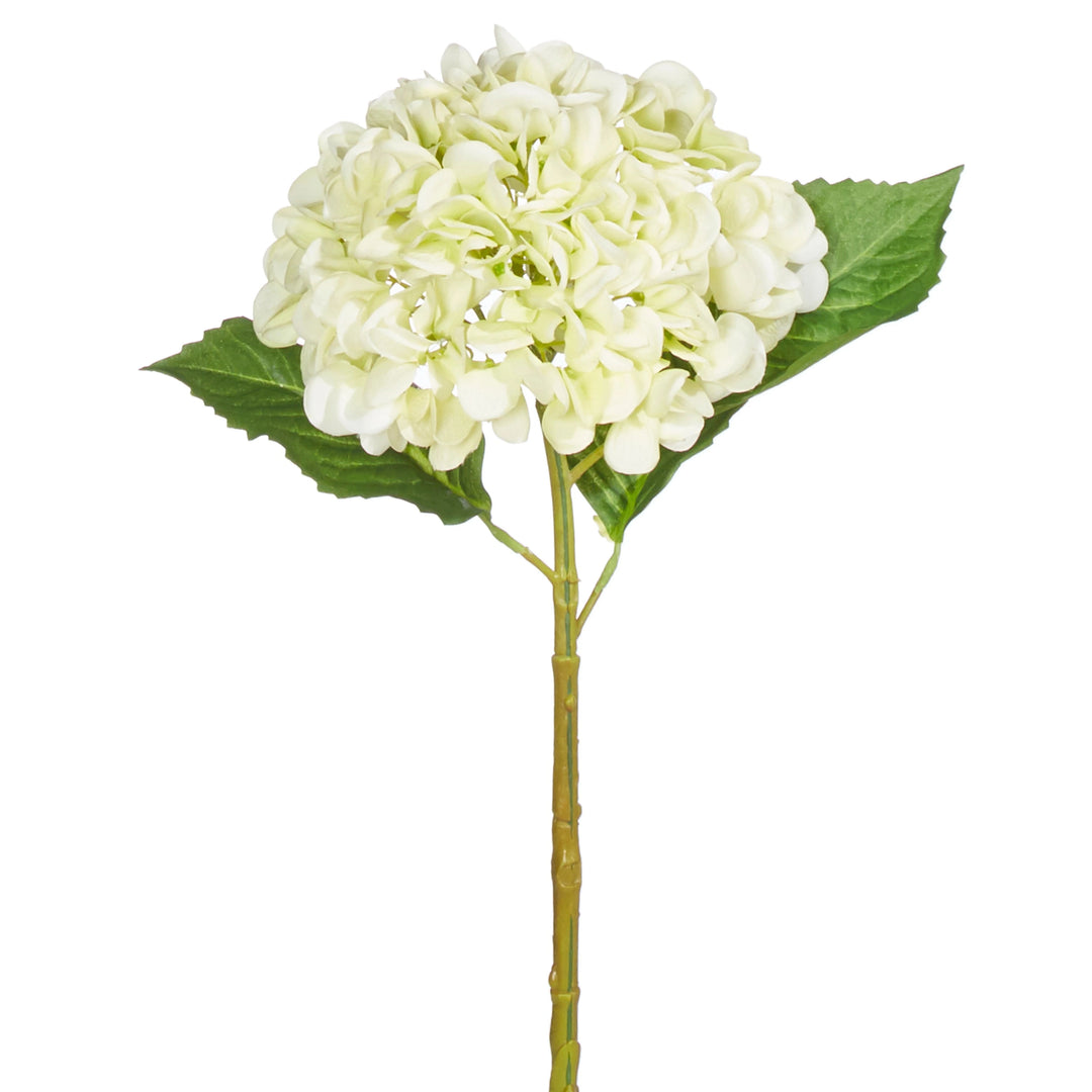 20.5" Real Touch Light Green Hydrangea Stem Faux Florals RAZ 