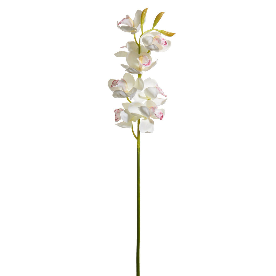 27.5" White Cymbidium Orchid Stem Faux Florals RAZ 