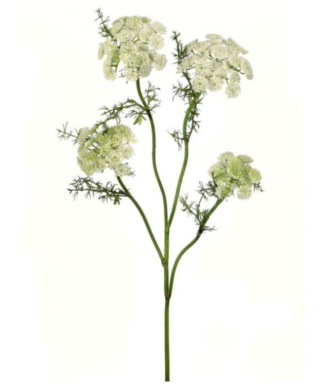 33" Wild Dill Spray - White Faux Florals Regency International 