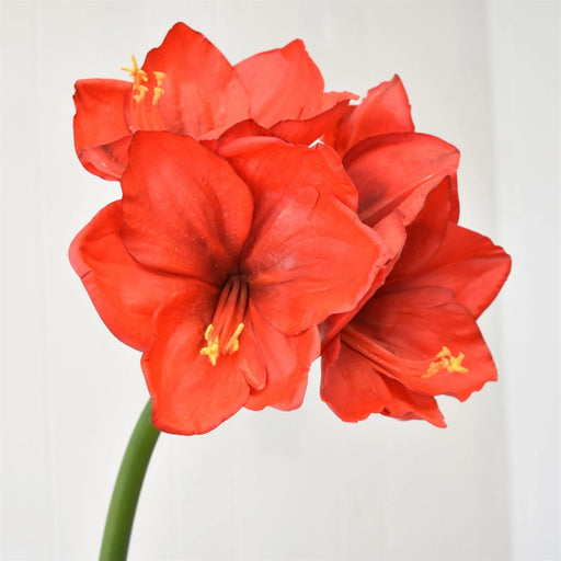 3D Fabric Coating Amaryllis Spray 27" in Red Ornament David Christopher 