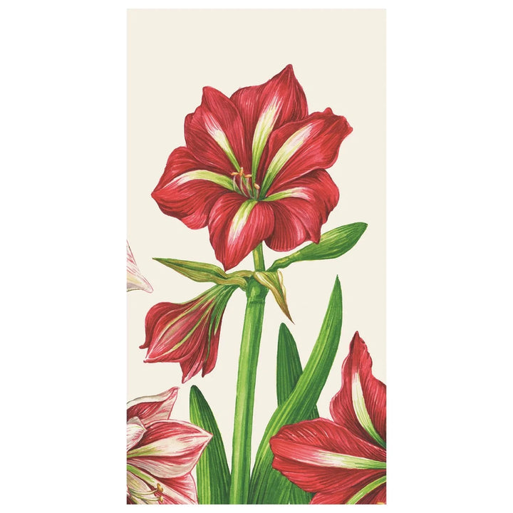 Amaryllis Blooms Guest Napkins Guest Towels Hester and Cook 