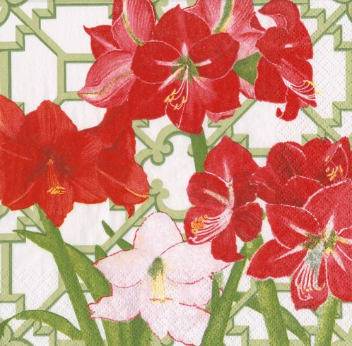 Amaryllis Conservatory Cocktail Napkins - 20 Per Package Cocktail Napkins Caspari 