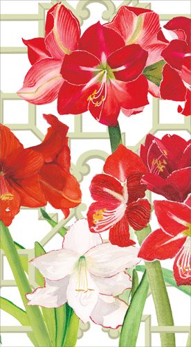 Amaryllis Conservatory Guest Towel Napkins Guest Towels Caspari 