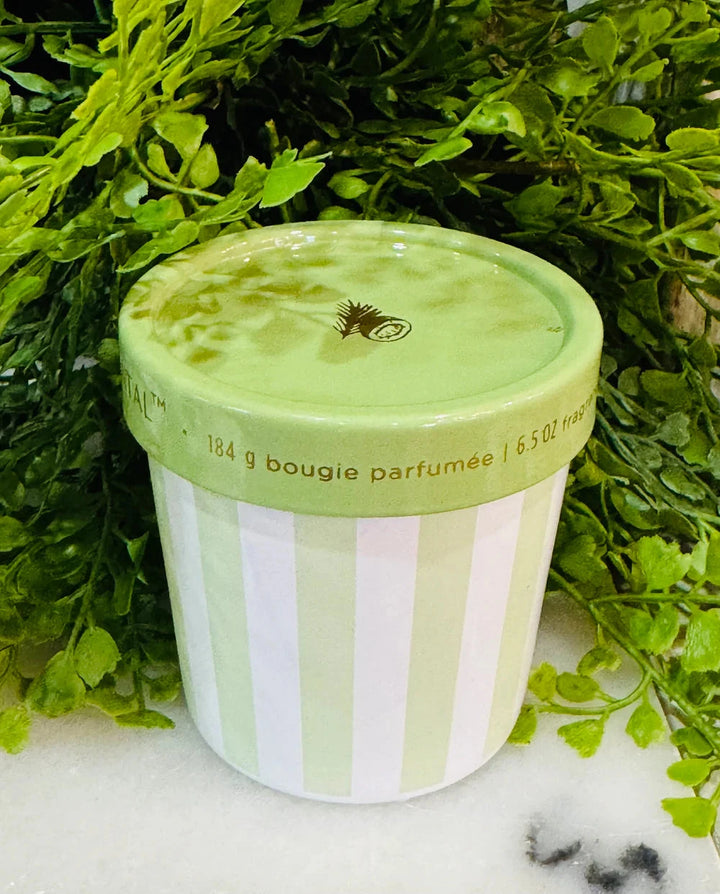 Artisan- Coconut Santal Gelato Cup Candle 6.5oz Candle Capri Blue 