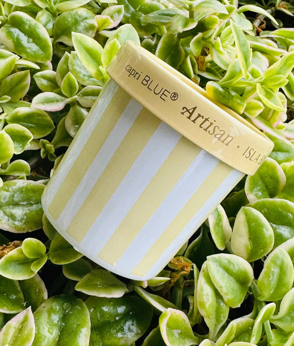 Artisan- Isla Bloom Gelato Cup Candle 6.5oz Candle Capri Blue 