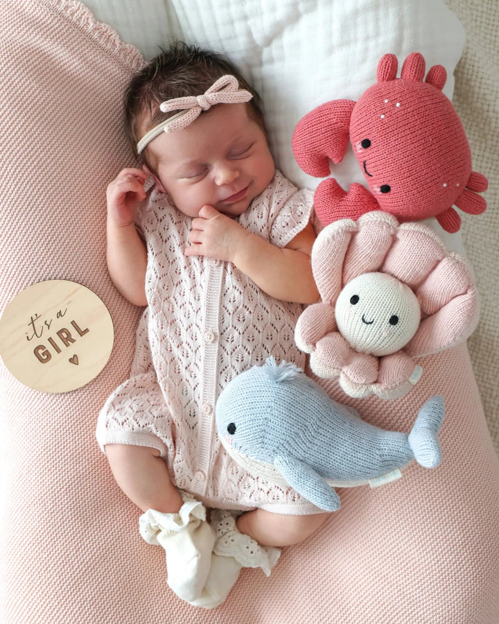 Baby Crab - Coral Plush Toy Cuddle + Kind 