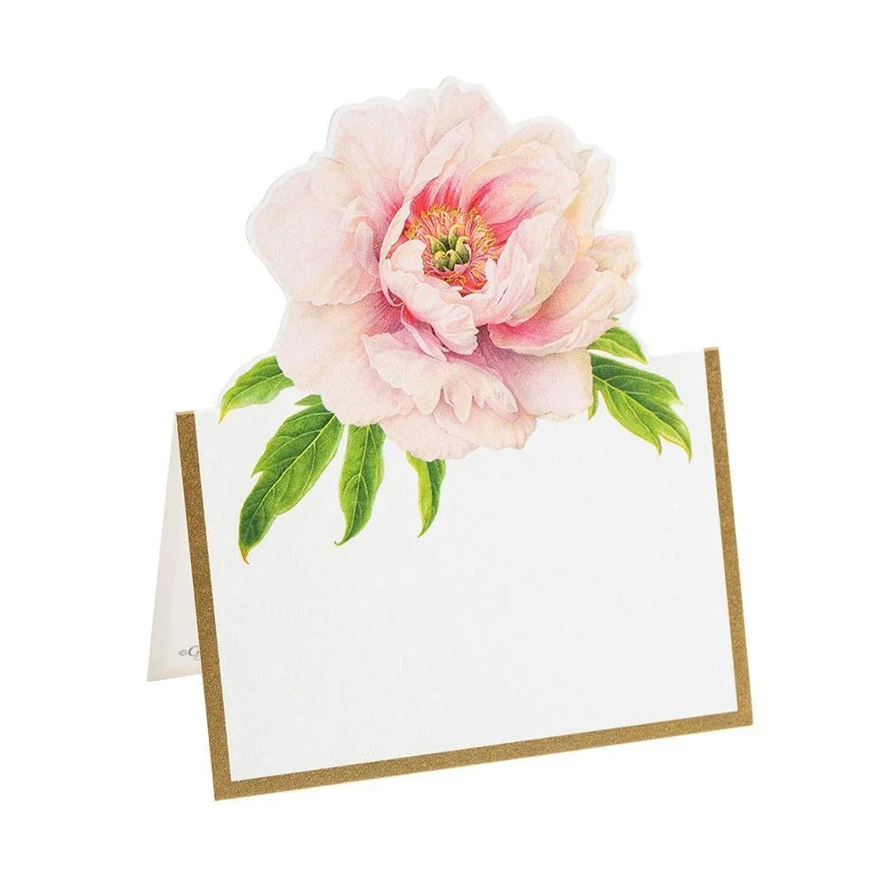 Blush Place Cards Stationery Caspari 