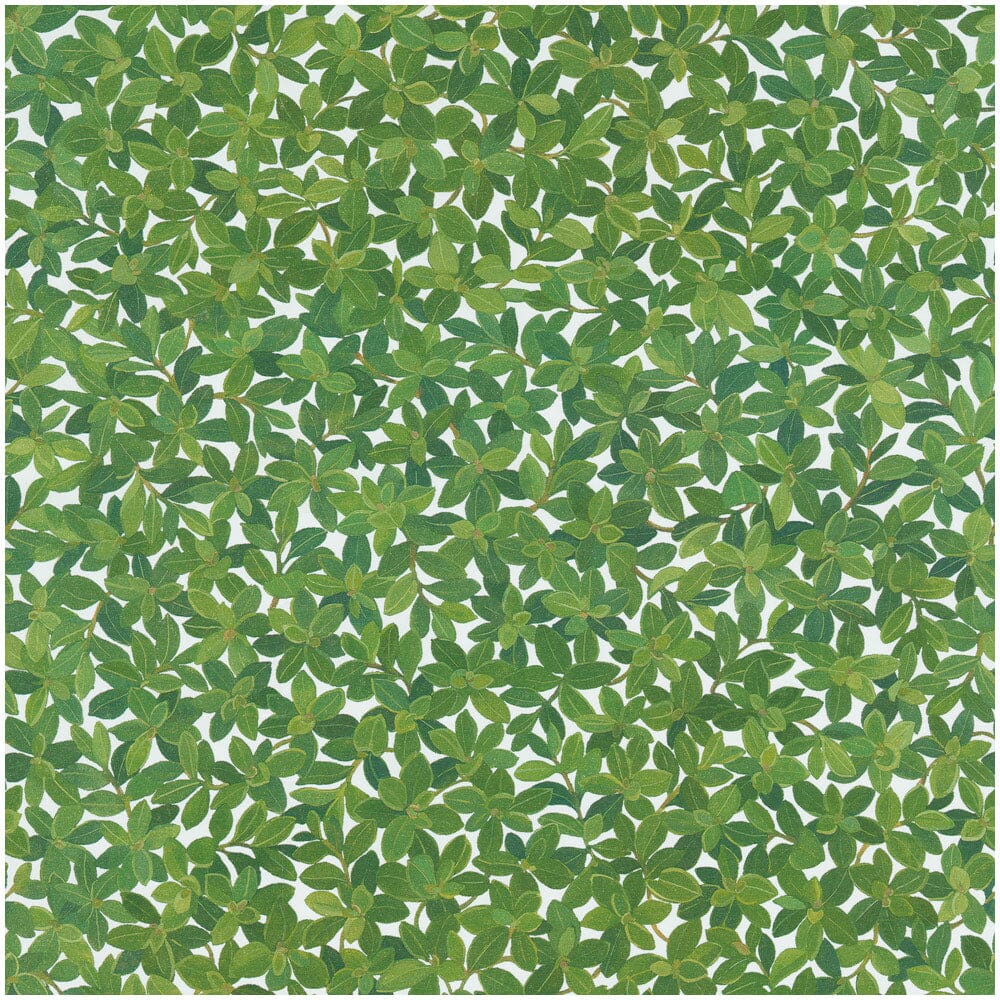 Boxwood Ivory Matte Gift Wrap Roll Wrapping Paper Caspari 