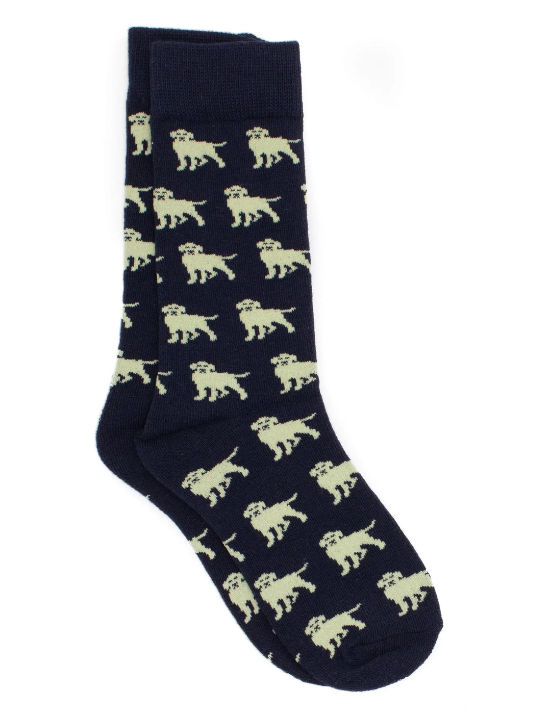 Boys Lucky Duck Socks - Golden Retriever Boy Socks Properly Tied 