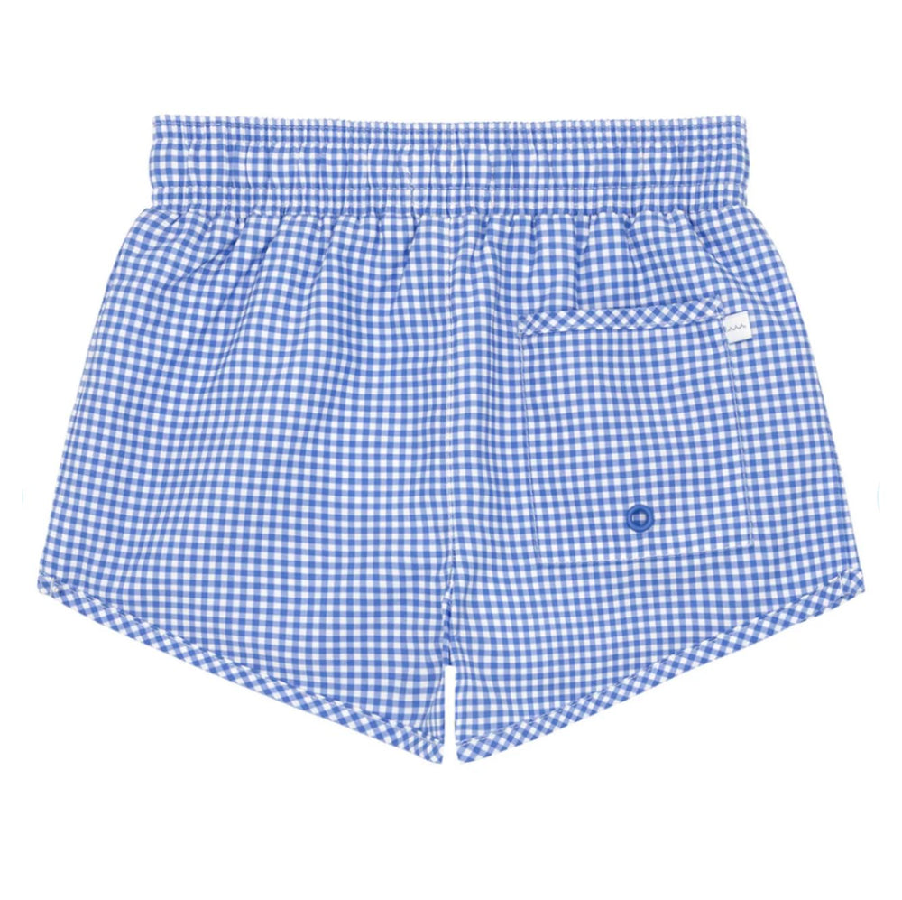 Boys Sky Blue Gingham Boardie Boy Bathing Suit Minnow 