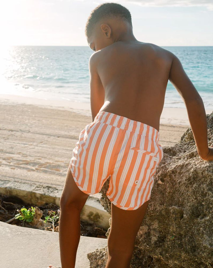 Boys Swizzle Stripe Boardie Boy Bathing Suit Minnow 