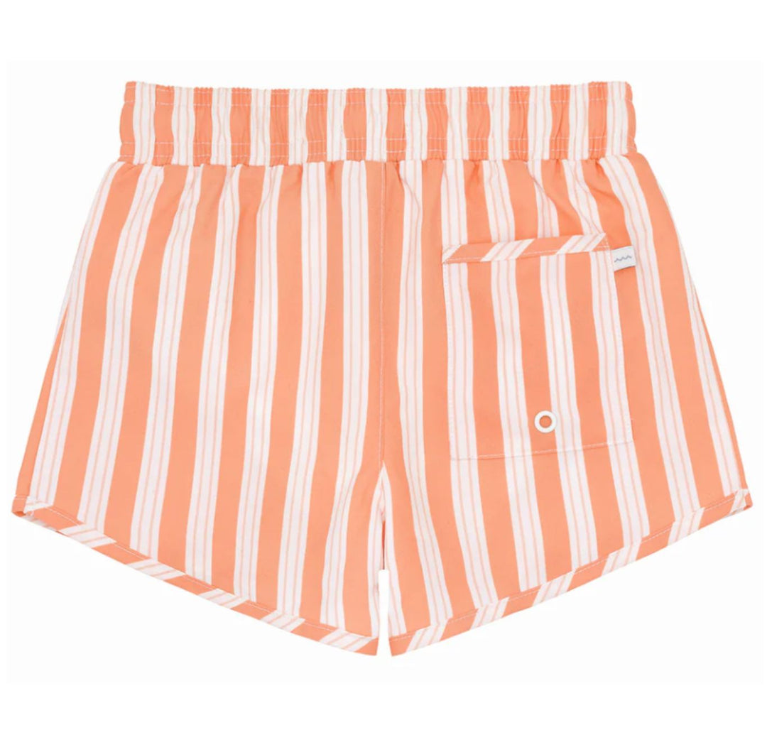 Boys Swizzle Stripe Boardie Boy Bathing Suit Minnow 