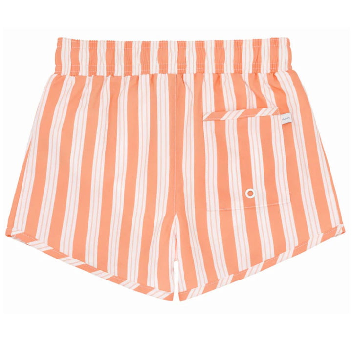 Boys Swizzle Stripe Boardie Boy Bathing Suit Minnow 