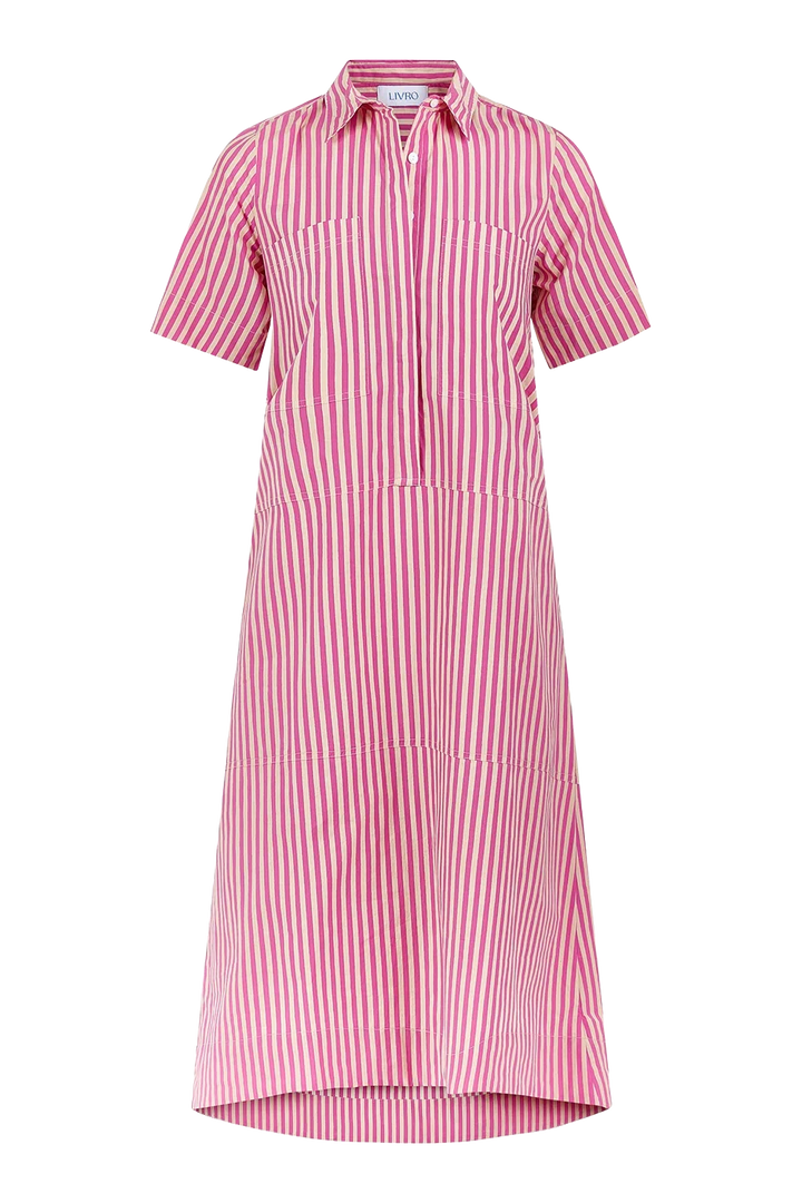 City Dress - Raspberry Pinstripe Womens Dress Livro 