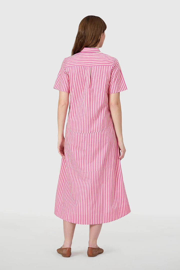 City Dress - Raspberry Pinstripe Womens Dress Livro 