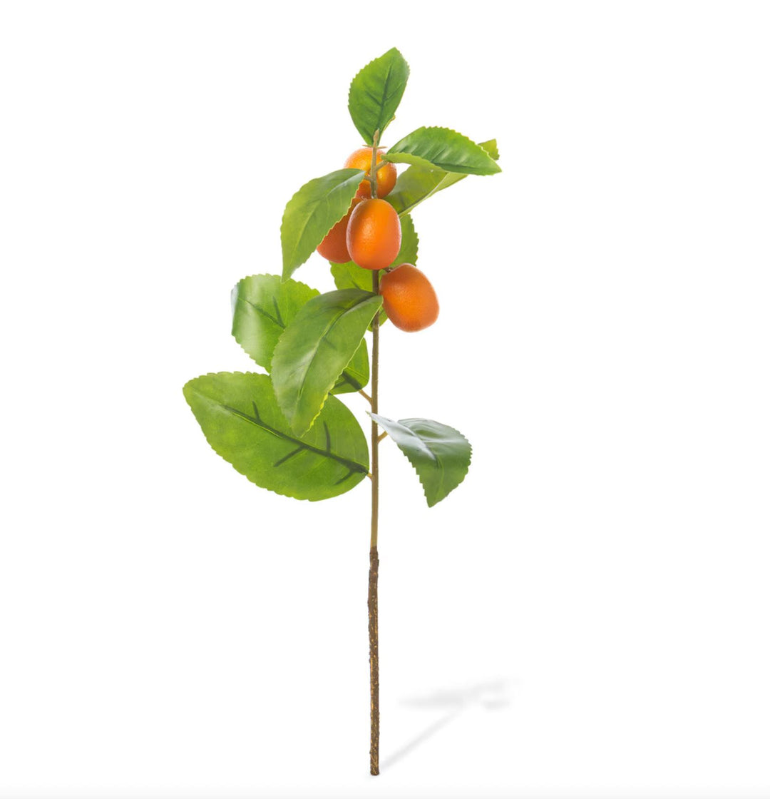 Crafted Kumquat Stem Faux Florals Park Hill Collection 