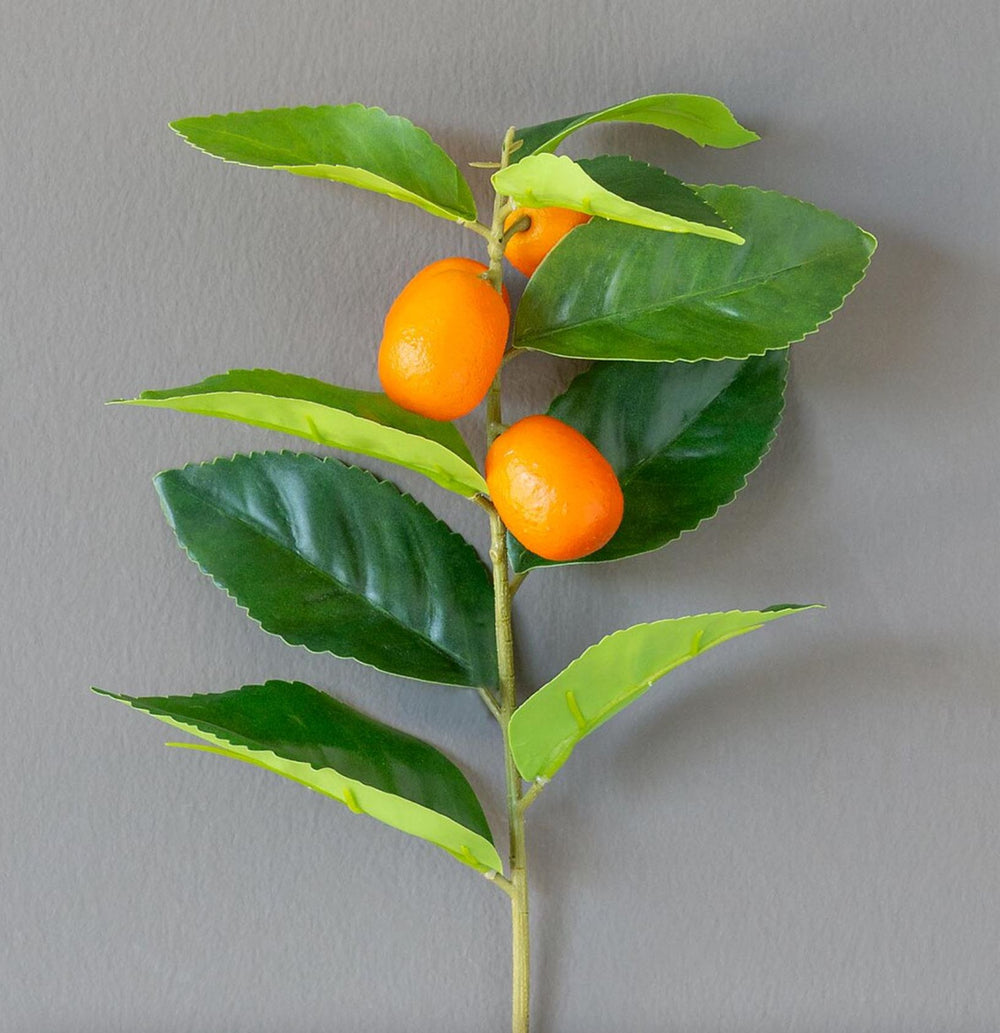 Crafted Kumquat Stem Faux Florals Park Hill Collection 