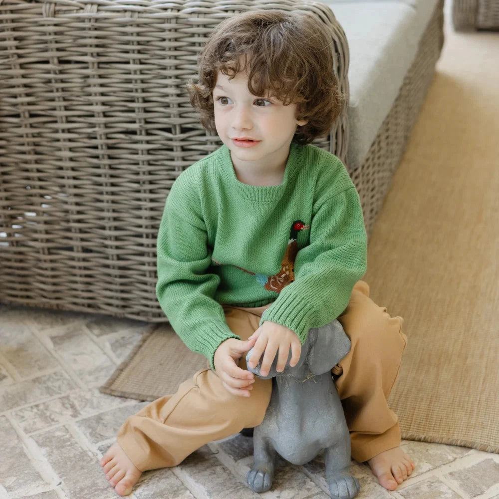 Crew Neck Sweater - Pheasant on Sage Boy Sweater Bailey Boys 