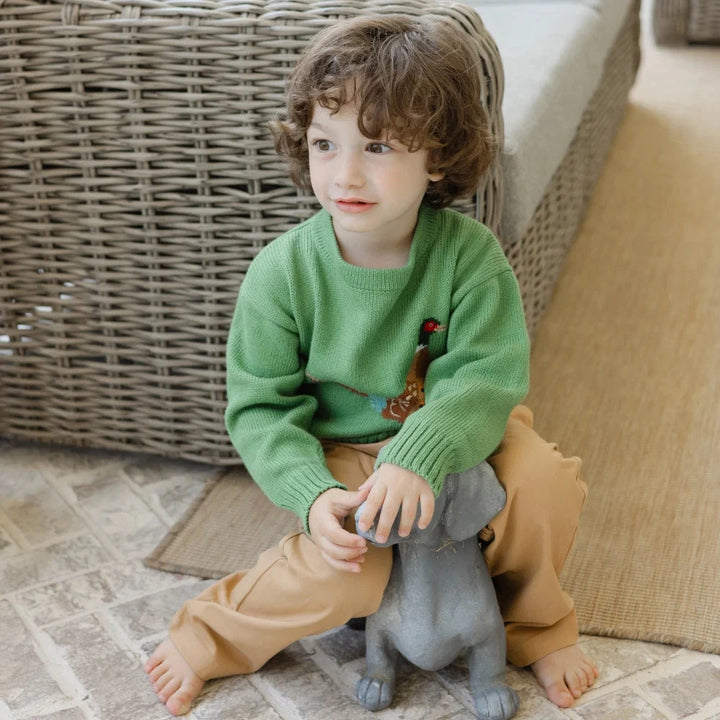 Crew Neck Sweater - Pheasant on Sage Boy Sweater Bailey Boys 