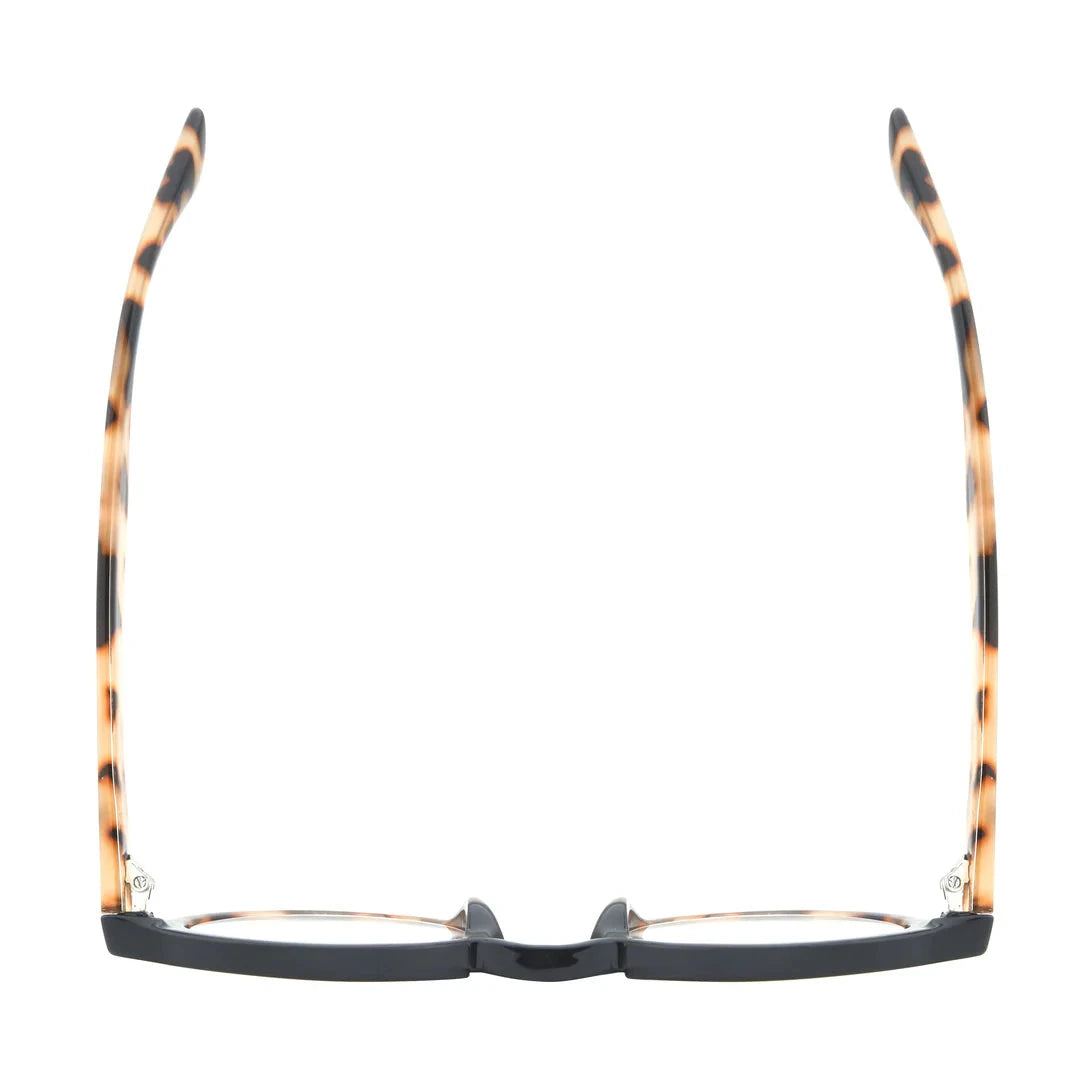 Dan Readers - Black Tortoise Reading Glasses Ryan Simkhai 