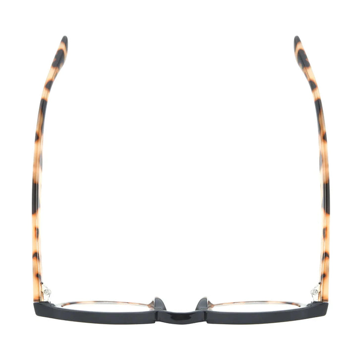 Dan Readers - Black Tortoise Reading Glasses Ryan Simkhai 