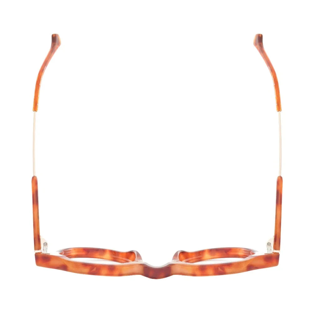 Dario Readers - Tortoise with Gold Reading Glasses Ryan Simkhai 