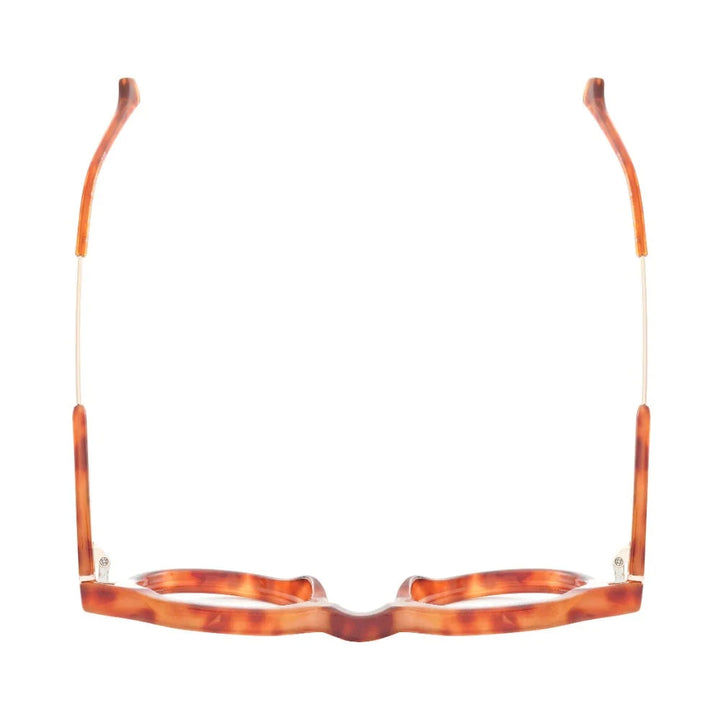Dario Readers - Tortoise with Gold Reading Glasses Ryan Simkhai 