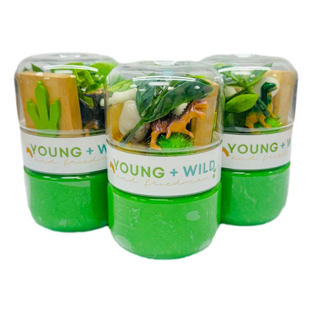 Dinosaur Grab & Go Dough Jar Toy Craft Kits Young Wild and Freidman 