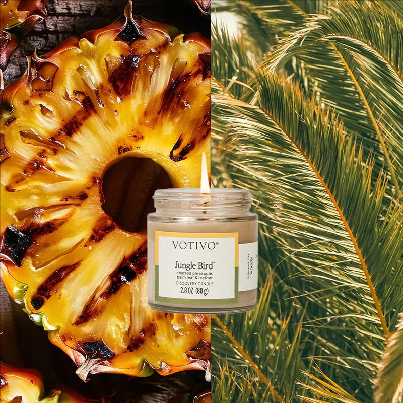 Discovery Candle - Jungle Bird Candle Votivo 