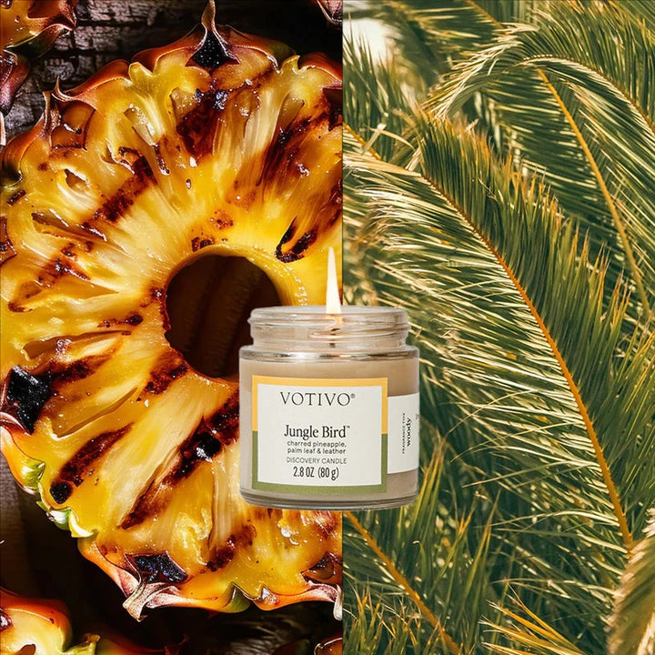Discovery Candle - Jungle Bird Candle Votivo 
