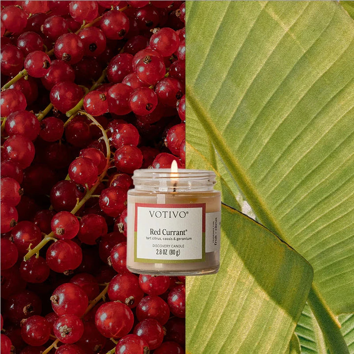 Discovery Candle - Red Currant Candle Votivo 