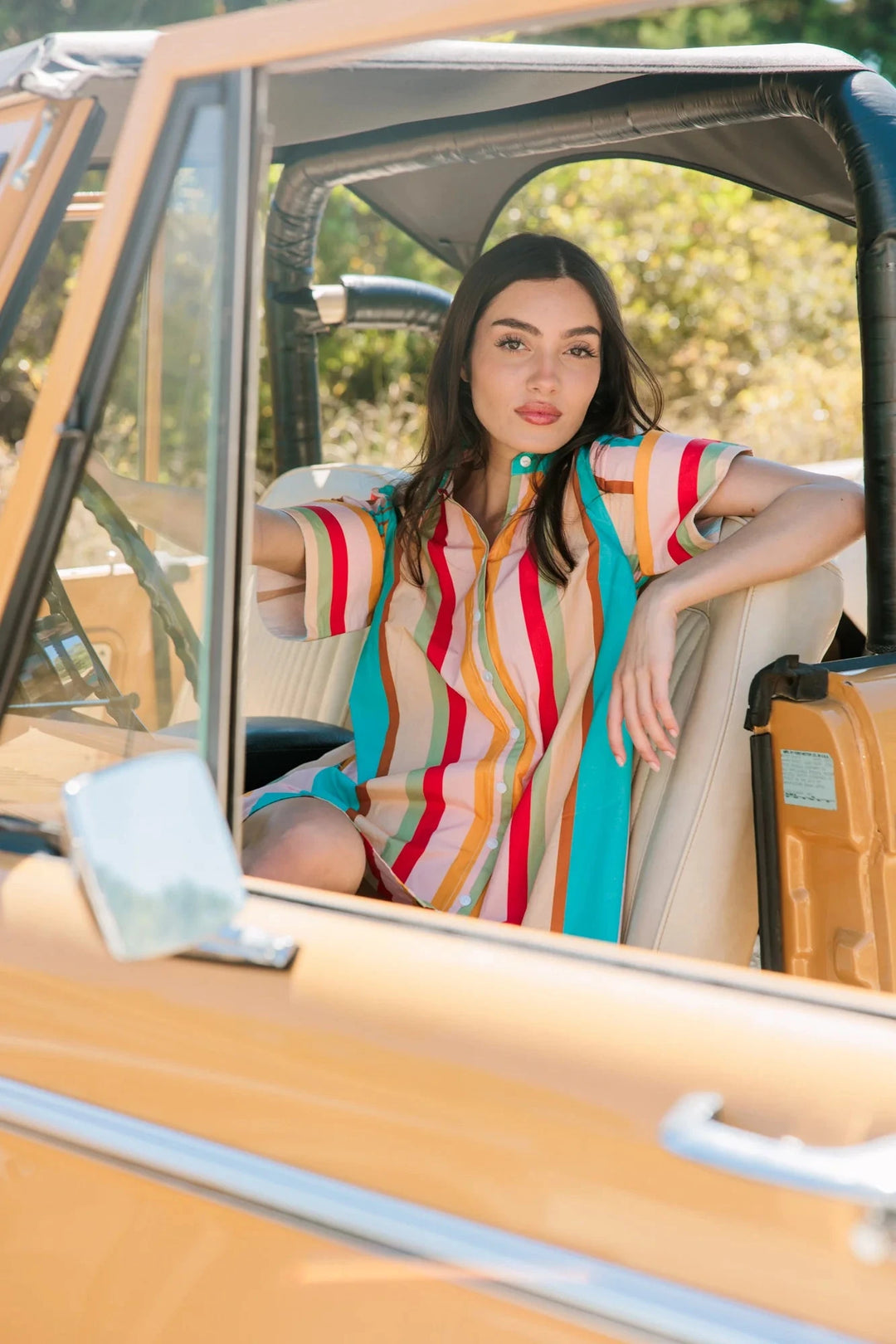 Dock Dress - Amberline Stripes Womens Dress Livro 