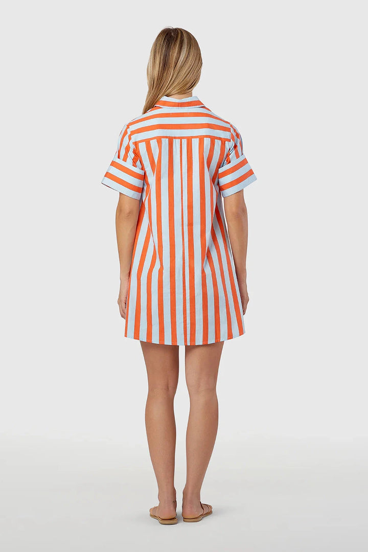 Dock Dress - Americana Womens Dress Livro 