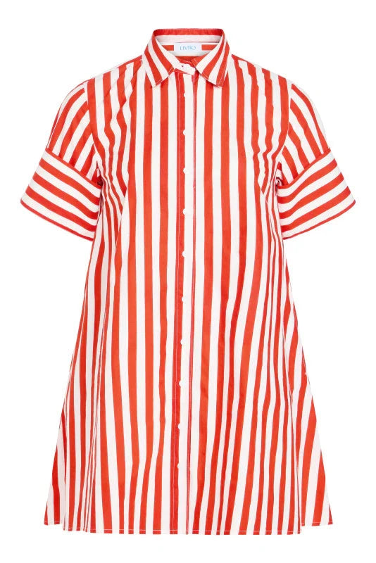 Dock Dress - Red Stripes Womens Dress Livro 
