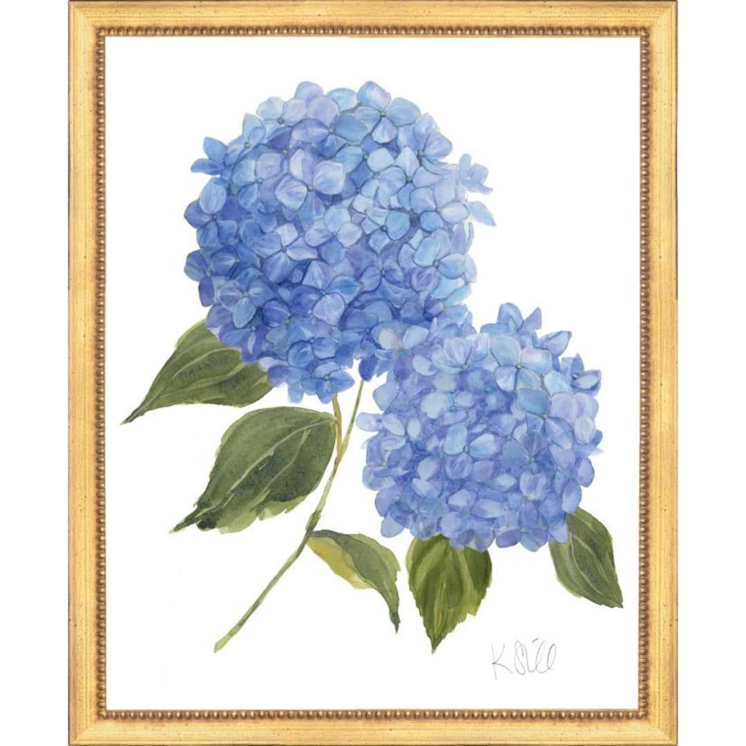Double Hydrangeas in Bloom Framed Print 22x26 Artwork The Leonard Collection 