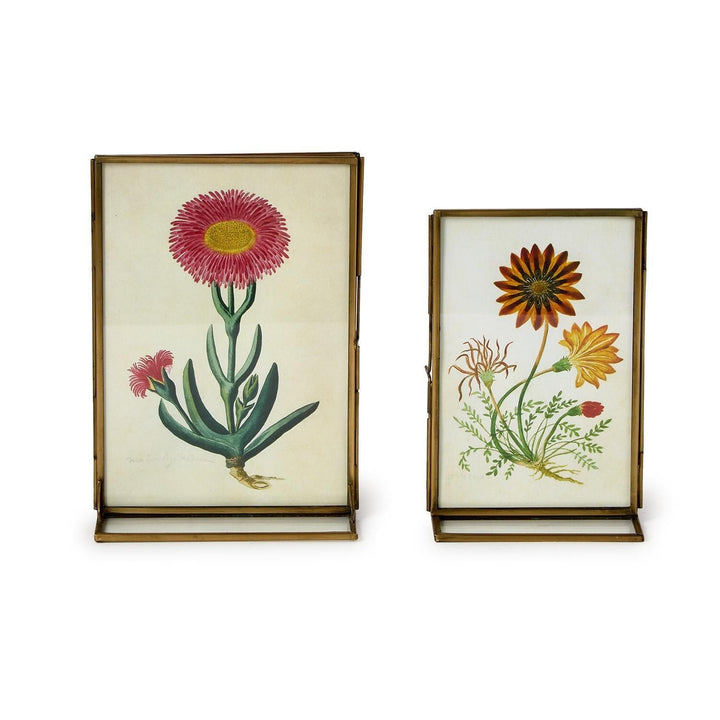 Double Sided Metal Photo Frames Picture Frames Two's Company 