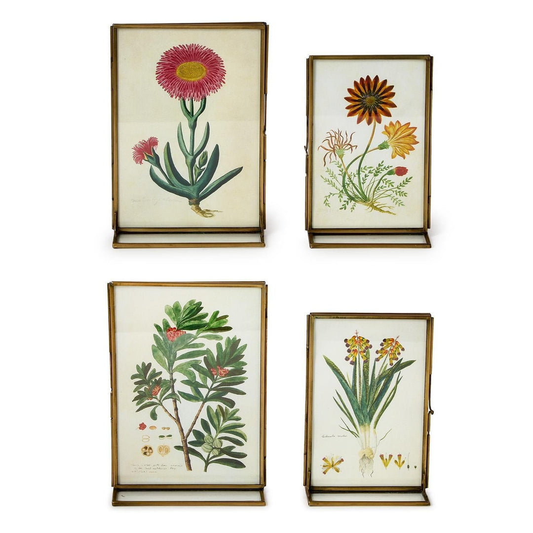 Double Sided Metal Photo Frames Picture Frames Two's Company 