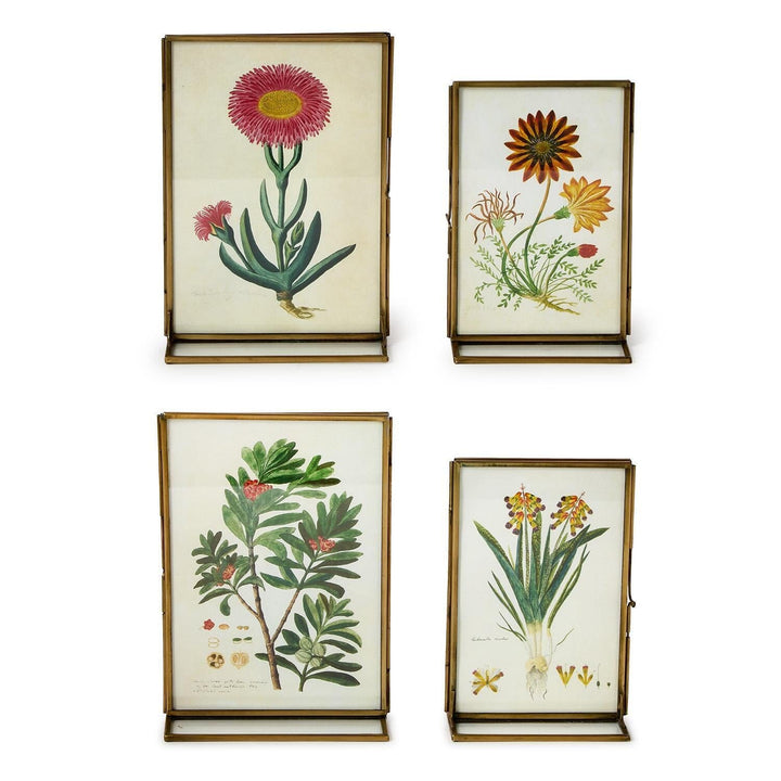 Double Sided Metal Photo Frames Picture Frames Two's Company 