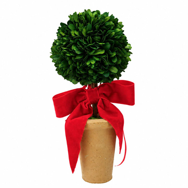 Dried Boxwood Tree in Terra-cotta Pot with Red Velvet Bow Christmas Decor Creative Co-Op 