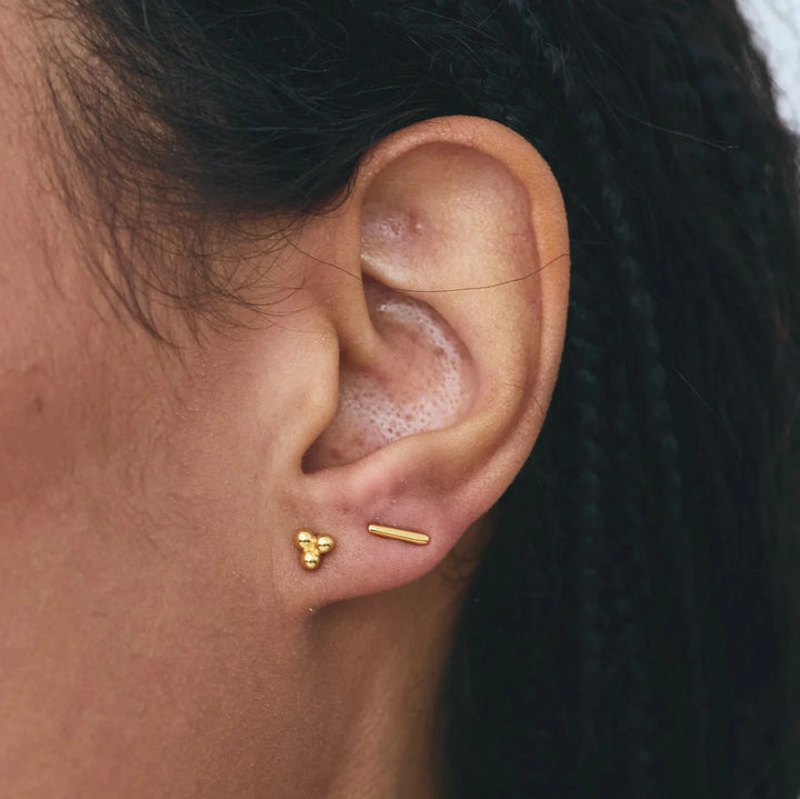 Eden Stud Earrings - Gold Womens Earrings FYB 