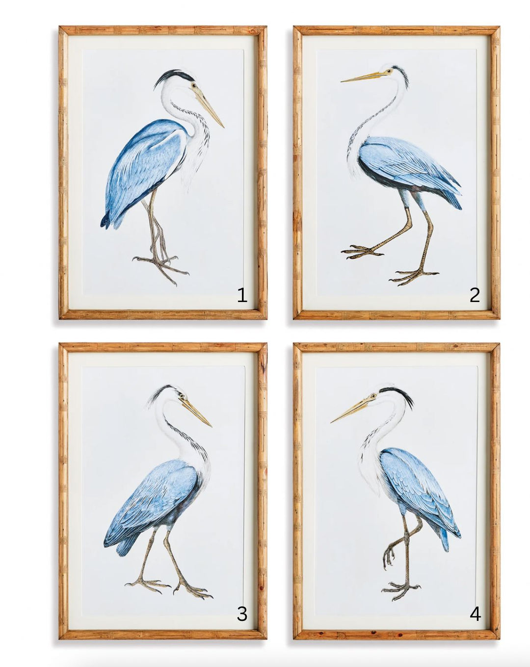 Elegant Blue Heron Prints Artwork Napa 