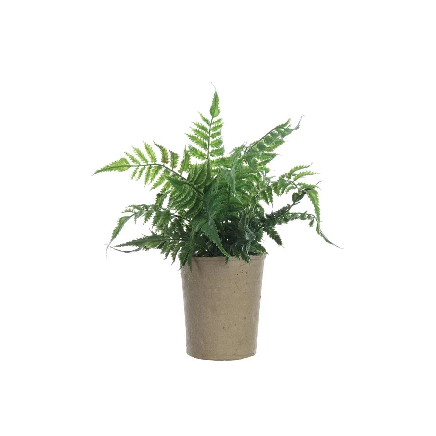 Faux Fern in Paper Pot Home Decor Creative Co-Op 