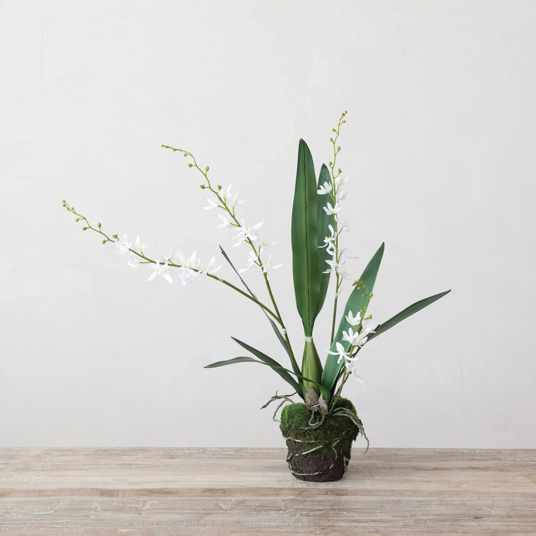Faux Orchid w/ Faux Moss & Exposed Roots Faux Florals Creative Co-Op 