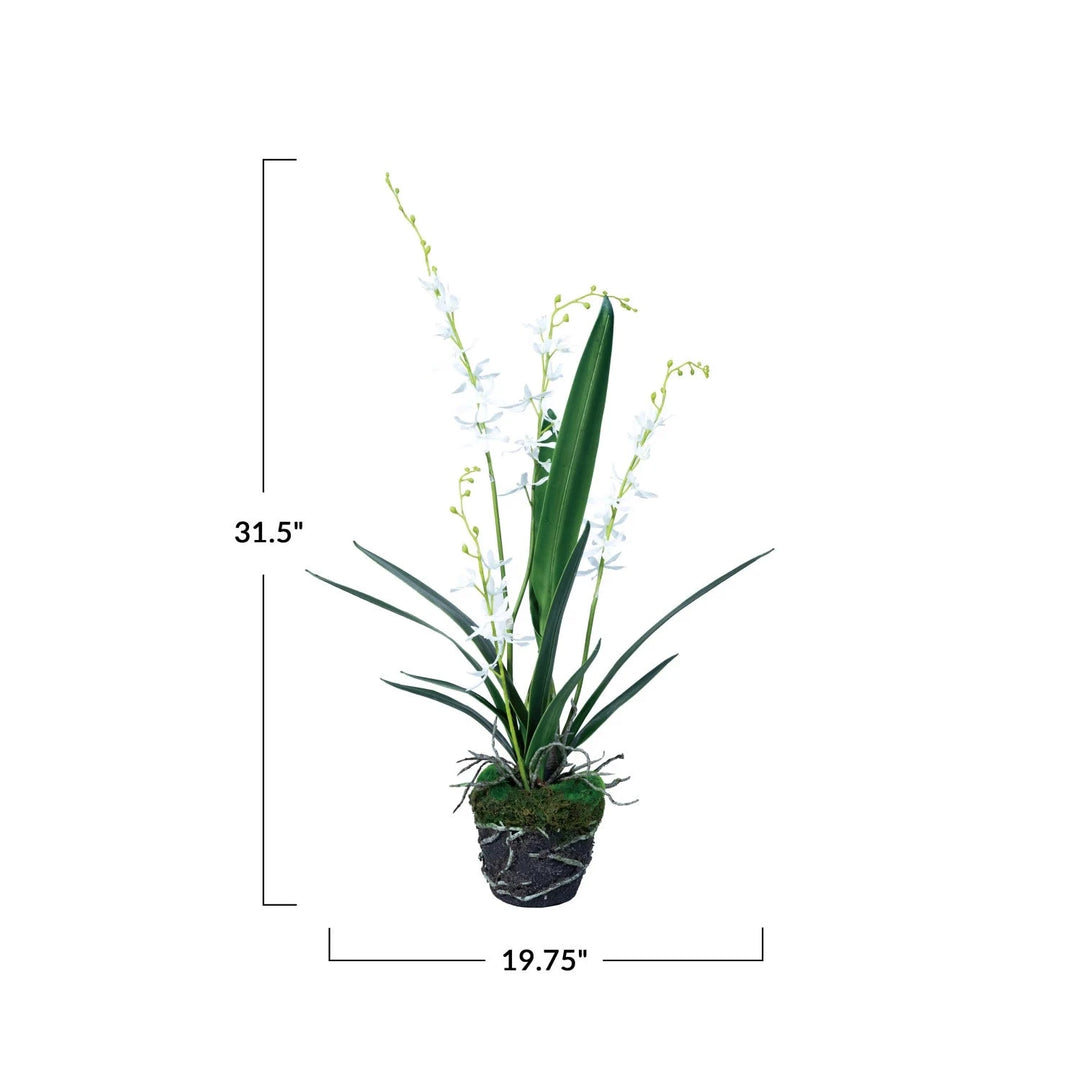 Faux Orchid w/ Faux Moss & Exposed Roots Faux Florals Creative Co-Op 